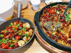 -老板恋上鱼(恒隆广场店)