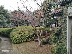 -惠山古镇·寄畅园