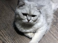 -小时光咖啡馆(开森度假森林店)