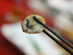 -西贝莜面村(香蜜湖店)