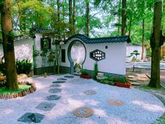 -东平国家森林公园
