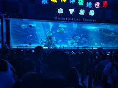 -泉城欧乐堡海洋极地世界