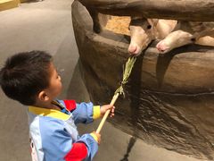 -KKV(深圳宏发大仟里店)