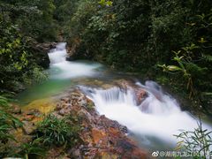 -九龙江国家森林公园