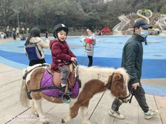 -杭州少年儿童公园