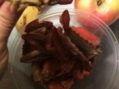 -莲花公园煎蟹(总店)