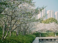 -诺贝尔湖公园