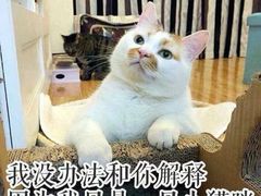 -吉品源(农院路店)