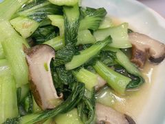 青菜-老四川平头酸菜鱼(衙前店)