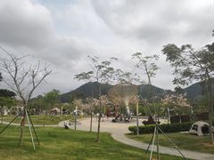-白石龙音乐公园