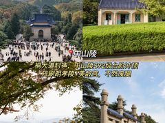 -奇芳阁·百年清真南京菜(夫子庙店)