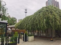 -西苑公园