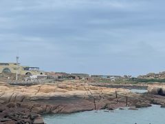 -坛南湾阿强农家乐.海鲜大排档老字号(福州地标美食店)