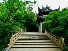 -长广溪湿地公园