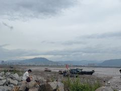 -北岐滩涂