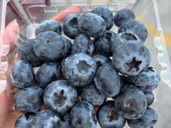 -大润发(东关世茂店)