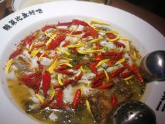 老坛子酸菜鱼-太二酸菜鱼(中山龙之梦店)