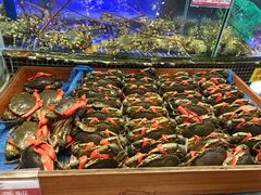 -欢乐海岸美食联盟