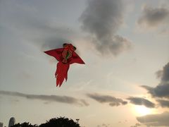 -万绿园