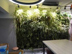 -引领英语·成人口语·雅思托福