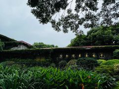 -中国茶叶博物馆(双峰馆区)