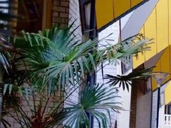 -立体方块屋