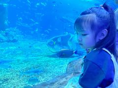 -多彩贵州城极地海洋世界