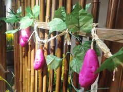 -秋色客家菜(流塘店)
