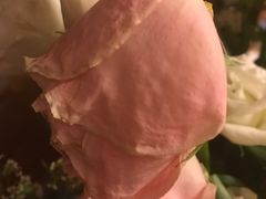 -婷意花宇TheGracesFloral(北外滩店)