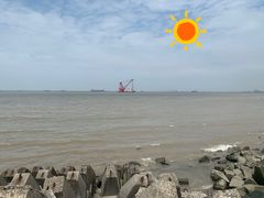 -上海滨江森林公园