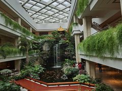 -白天鹅宾馆-宏图府餐厅