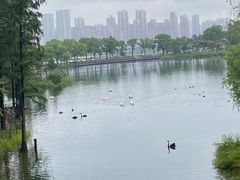 -武汉动物园