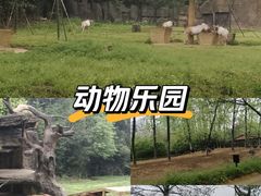 -杭州野生动物世界
