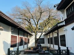 -上海醉白池公园