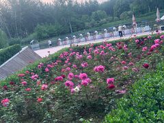 -仁和公园(顺义区)