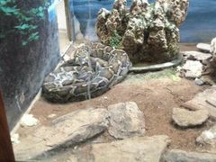 android_upload_pic-石家庄市动物园