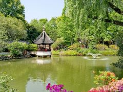-上海醉白池公园