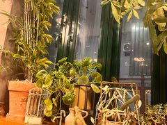 -山茶云南菜(永安里店)