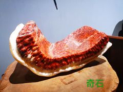 -惠和石文化园
