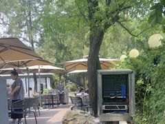 -蘇河湾·新鲁菜·泰山宴(泰山店)