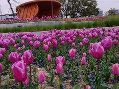 -阿里巴巴量贩KTV(海亮店)