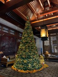 -颐和宾馆宴会厅