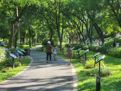 -东莞植物园