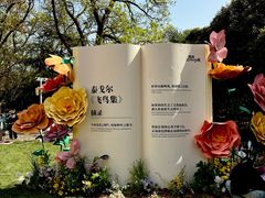 -西苑公园