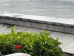 -揭阳楼