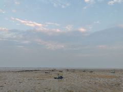 -北海金海湾红树林生态旅游区