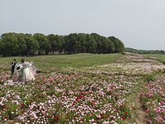 -苏州湾体育公园