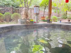 -西安国际创新人才交流中心•药浴温泉