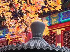 -香山公园