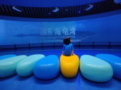-广东惠东海龟国家级自然保护区